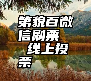 第貌百微信刷票   线上投票