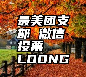 最美团支部 微信投票   LOONG