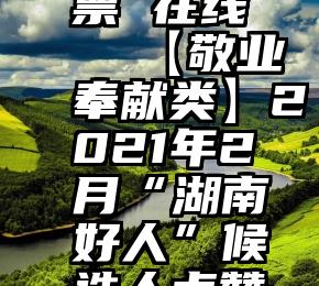 微信 投票 在线   【敬业奉献类】2021年2月“湖南好人”候选人点赞评议页面