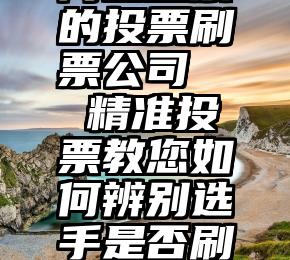 网上投票的投票刷票公司   精准投票教您如何辨别选手是否刷票