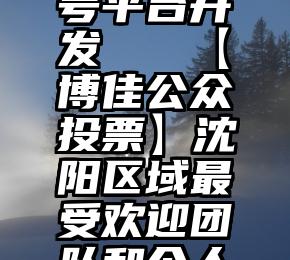 微信服务号平台开发   【博佳公众投票】沈阳区域最受欢迎团队和个人公众投票