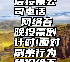 巢湖市微信投票公司电话   网络春晚投票倒计时!面对刷票行为我们绝不手软