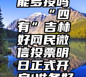 微信投票能多投吗   “四有”吉林好网民微信投票明日正式开启!准备好了吗