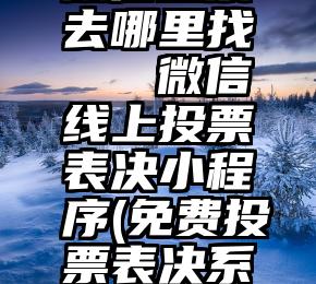 微信投票去哪里找   微信线上投票表决小程序(免费投票表决系统平台)