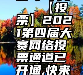 app投票公司 共享   【投票】2021第四届大赛网络投票通道已开通,快来投TA一票!