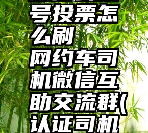 微信公众号投票怎么刷   网约车司机微信互助交流群(认证司机群)