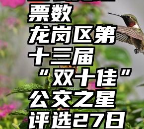 微信投票怎么更改票数   龙岗区第十三届“双十佳”公交之星评选27日开启网络投票……