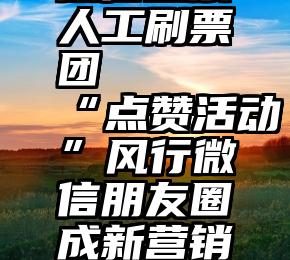 微信投票人工刷票团   “点赞活动”风行微信朋友圈成新营销平台(图)