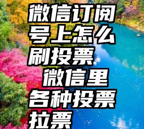 微信订阅号上怎么刷投票   微信里各种投票拉票