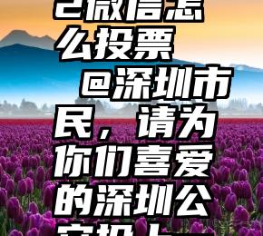 青春有你2微信怎么投票   @深圳市民，请为你们喜爱的深圳公安投上一票