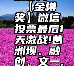 第六代刷票官网   【金樽奖】微信投票最后1天激战!葛洲坝、融创、文一,谁能夺得荣誉第一