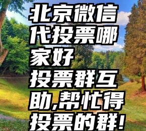 北京微信代投票哪家好   投票群互助,帮忙得投票的群!