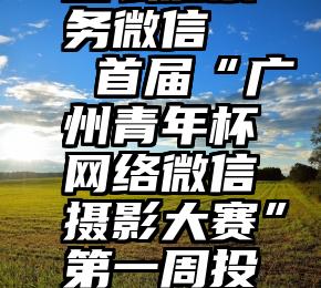 怎么加票务微信   首届“广州青年杯网络微信摄影大赛”第一周投票