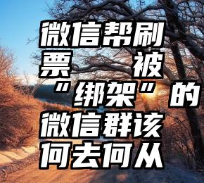 微信帮刷票   被“绑架”的微信群该何去何从