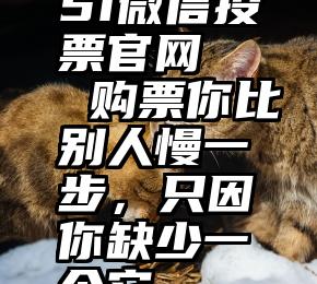 51微信投票官网   购票你比别人慢一步，只因你缺少一个它