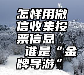 怎样用微信收集投票信息   谁是“金牌导游”