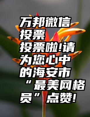 万邦微信投票   投票啦!请为您心中的海安市“最美网格员”点赞!