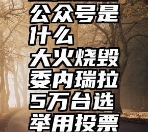 微信投票公众号是什么   大火烧毁委内瑞拉5万台选举用投票器