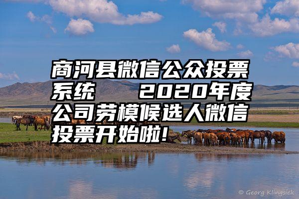 商河县微信公众投票系统   2020年度公司劳模候选人微信投票开始啦!