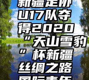 比赛用手机投票微信软件   【投票】新疆足协U17队夺得2020“天山雪豹”杯新疆丝绸之路国际青年邀请赛冠军,谁是你心目中的MVP