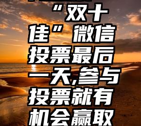 专业微信代投票   “双十佳”微信投票最后一天,参与投票就有机会赢取流量!GO~GO~GO