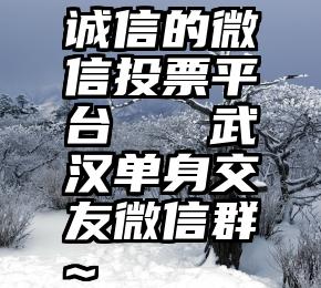 诚信的微信投票平台   武汉单身交友微信群~