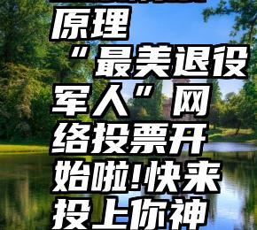 微信平台投票刷票原理   “最美退役军人”网络投票开始啦!快来投上你神圣的一票~