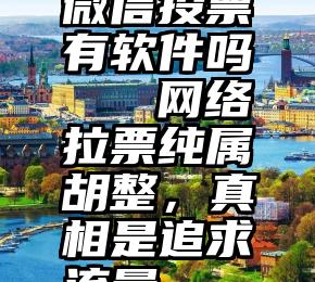 微信投票有软件吗   网络拉票纯属胡整，真相是追求流量