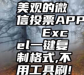 美观的微信投票APP   Excel一键复制格式,不用工具刷!