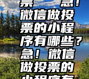 评选 投票   急！微信做投票的小程序有哪些？急！微信做投票的小程序有哪些？