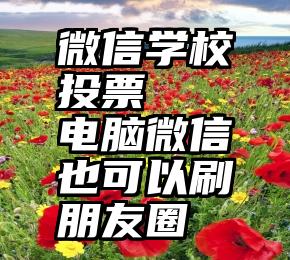 微信学校投票   电脑微信也可以刷朋友圈