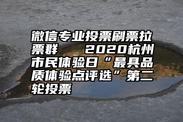 微信专业投票刷票拉票群   2020杭州市民体验日“最具品质体验点评选”第二轮投票