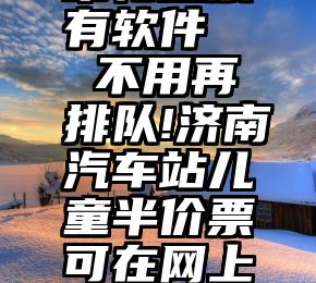 帮忙投票有软件   不用再排队!济南汽车站儿童半价票可在网上购买