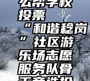 用微信怎么帮学校投票   “和谐稔岗”社区游乐场志愿服务队骨干竞选投票