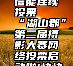 怎样用微信能连续投票   “湖山郡”第二届摄影大赛网络投票启动啦!快快拉票吧!