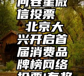 问卷星微信投票   北京大兴开启首届消费品牌榜网络投票!有奖