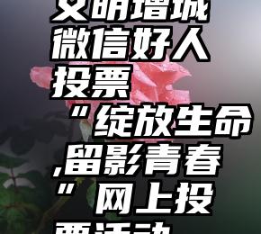 文明增城微信好人投票   “绽放生命,留影青春”网上投票活动