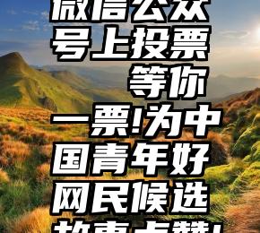 微信公众号上投票   等你一票!为中国青年好网民候选故事点赞!