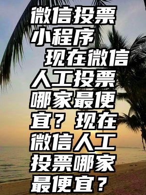 微信投票小程序   现在微信人工投票哪家最便宜？现在微信人工投票哪家最便宜？