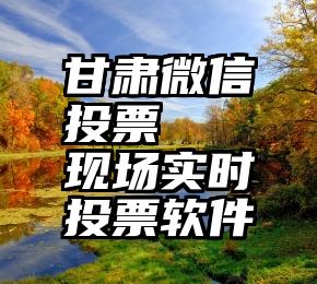 甘肃微信投票   现场实时投票软件