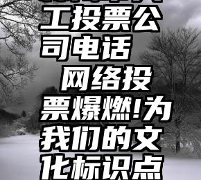 林州市人工投票公司电话   网络投票爆燃!为我们的文化标识点赞