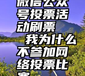 微信公众号投票活动刷票   我为什么不参加网络投票比赛