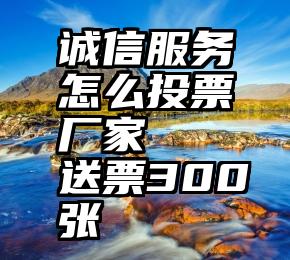 诚信服务怎么投票厂家   送票300张