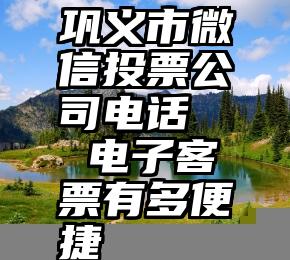 巩义市微信投票公司电话   电子客票有多便捷