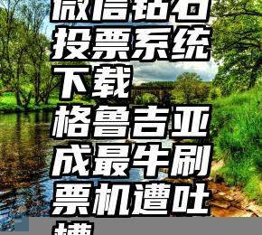 微信钻石投票系统下载   格鲁吉亚成最牛刷票机遭吐槽