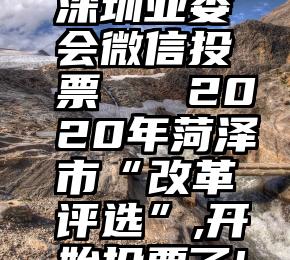 深圳业委会微信投票   2020年菏泽市“改革评选”,开始投票了!