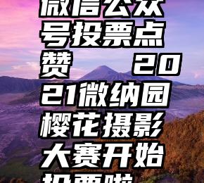 微信公众号投票点赞   2021微纳园樱花摄影大赛开始投票啦~