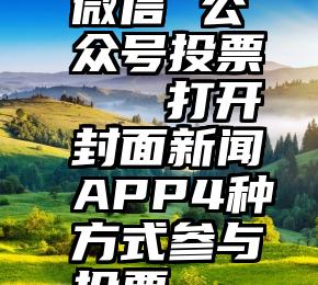 微信 公众号投票   打开封面新闻APP4种方式参与投票