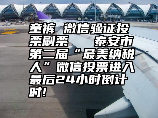 童裤 微信验证投票刷票   泰安市第二届“最美纳税人”微信投票进入最后24小时倒计时!