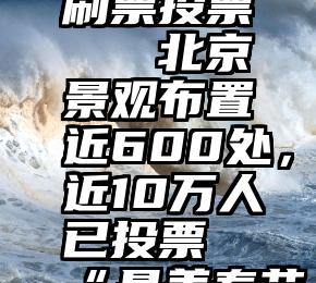 微信人工刷票投票   北京景观布置近600处，近10万人已投票“最美春节夜景”